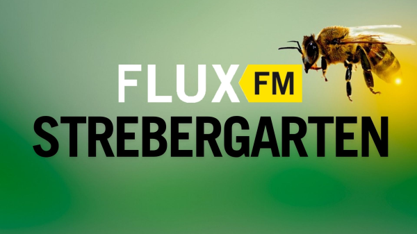 Folge 5: Mehr als Gemüse: Artenvielfalt und Klimaschutz in grünen Stadtoasen | FluxFM im Strebergarten, © Foto:  mariananbu auf Pixabay