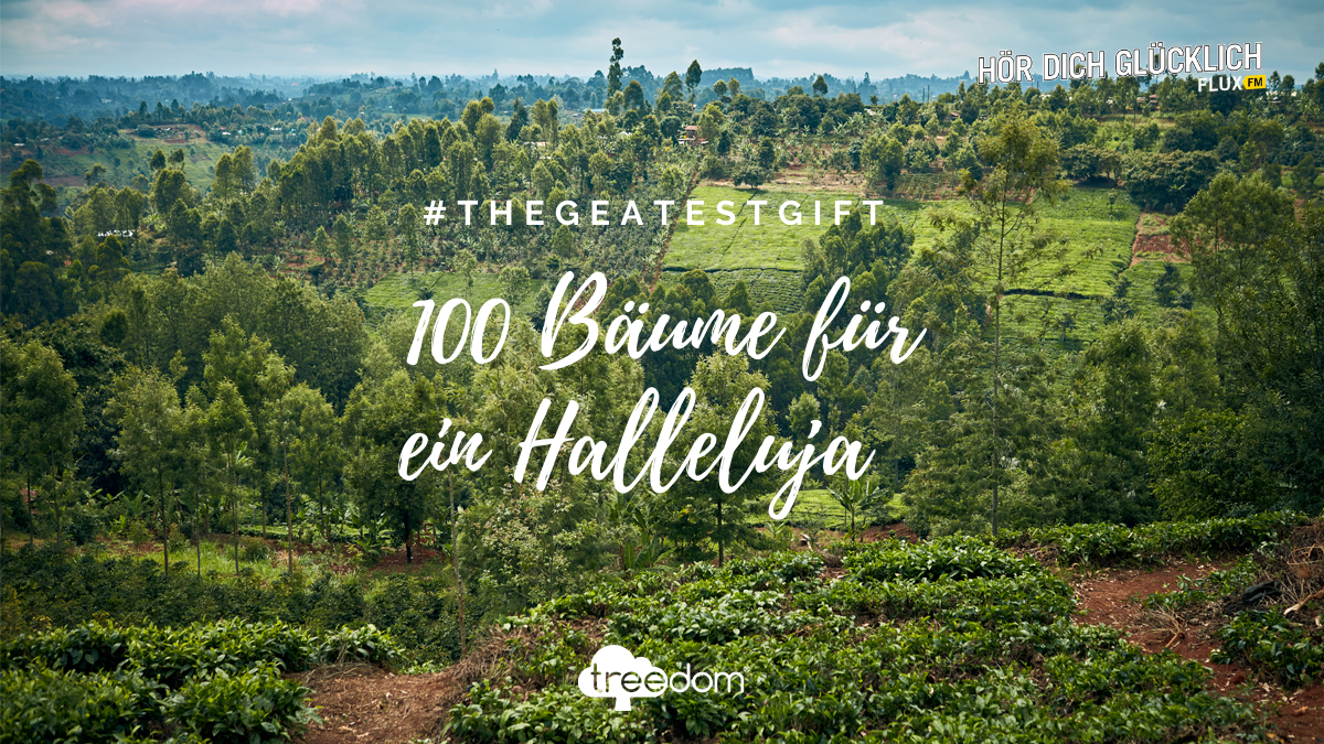 Wurzeln schlagen mit FluxFM & Treedom | Aktion