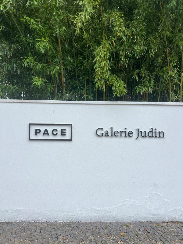 © Zora Alber © Zora Alber