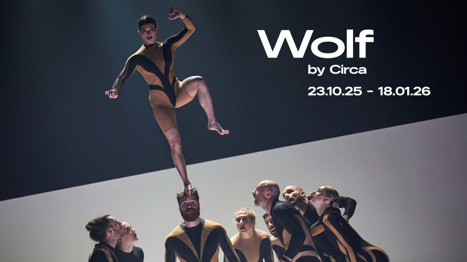 Wolf | Circa | Chamäleon Berlin, © Chamäleon