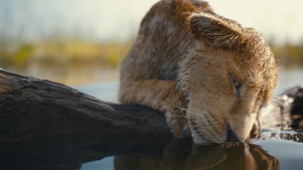 © The Walt Disney Company Deutschland © The Walt Disney Company Deutschland