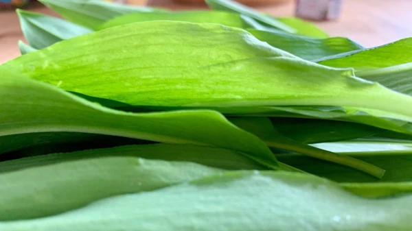 © Constanze Euler © Constanze Euler