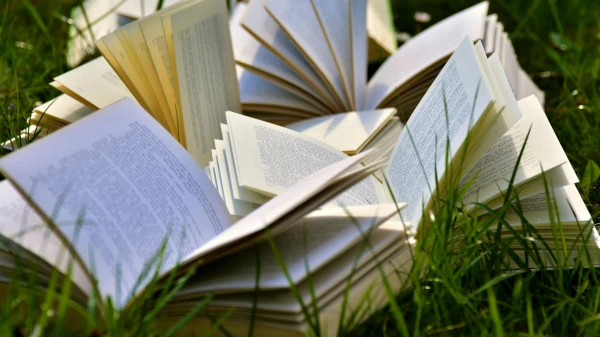 Neuerscheinungen und Klassiker | Ausblick Literatur 2026, © pexels Neuerscheinungen und Klassiker | Ausblick Literatur 2026, © pexels