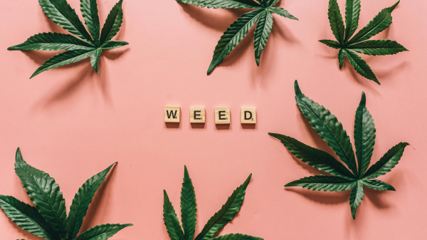 Alle Regeln im Überblick | Die FluxFM Cannabiswoche , © Alesia  Kozik