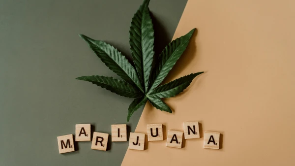 Die Geschichte des Cannabis | Die FluxFM Cannabiswoche , © Alesia Kozik Die Geschichte des Cannabis | Die FluxFM Cannabiswoche , © Alesia Kozik