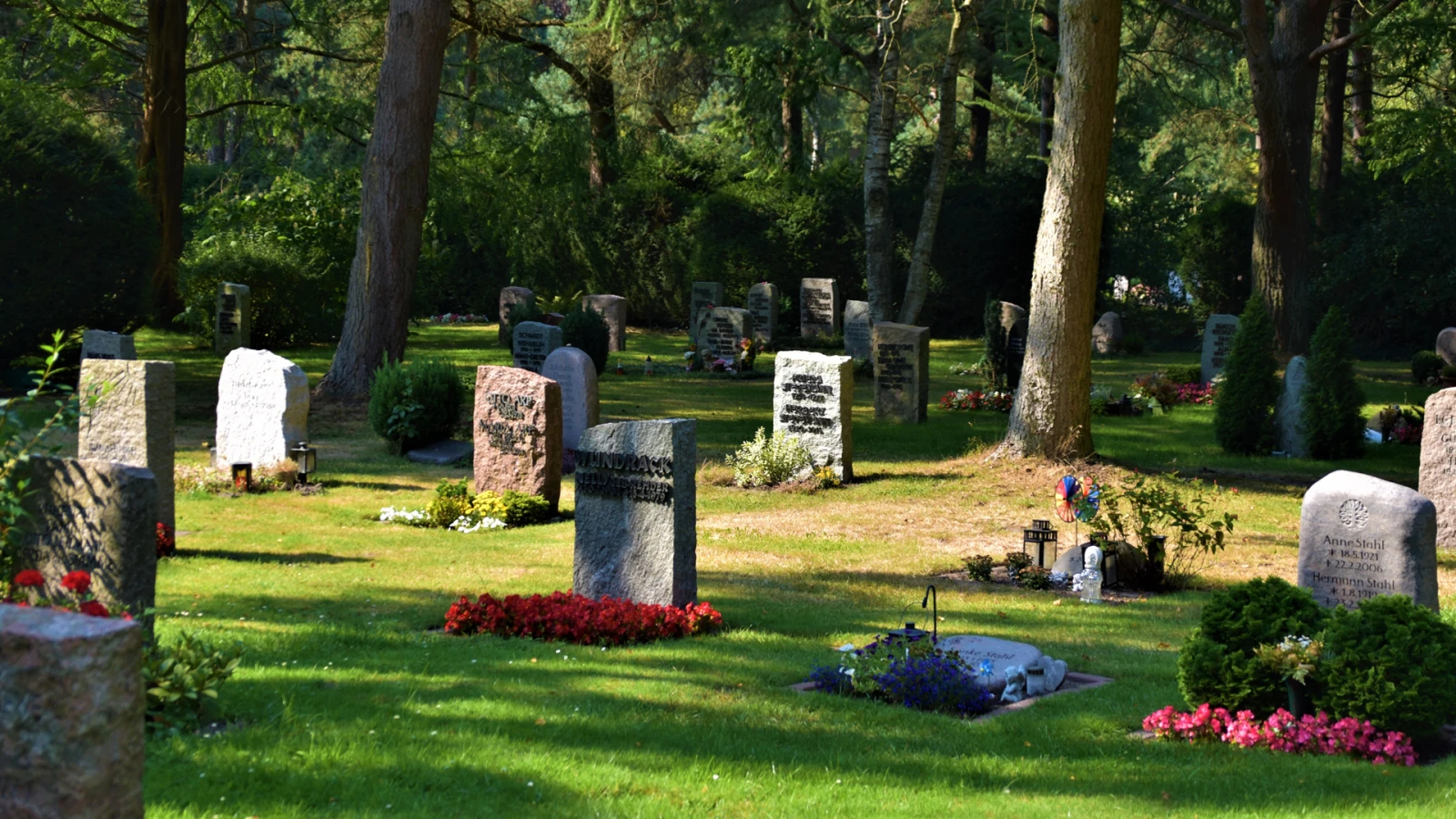 Reerdigung - Die klimafreundliche Bestattungsform | Interview Reerdigung - Die klimafreundliche Bestattungsform | Interview