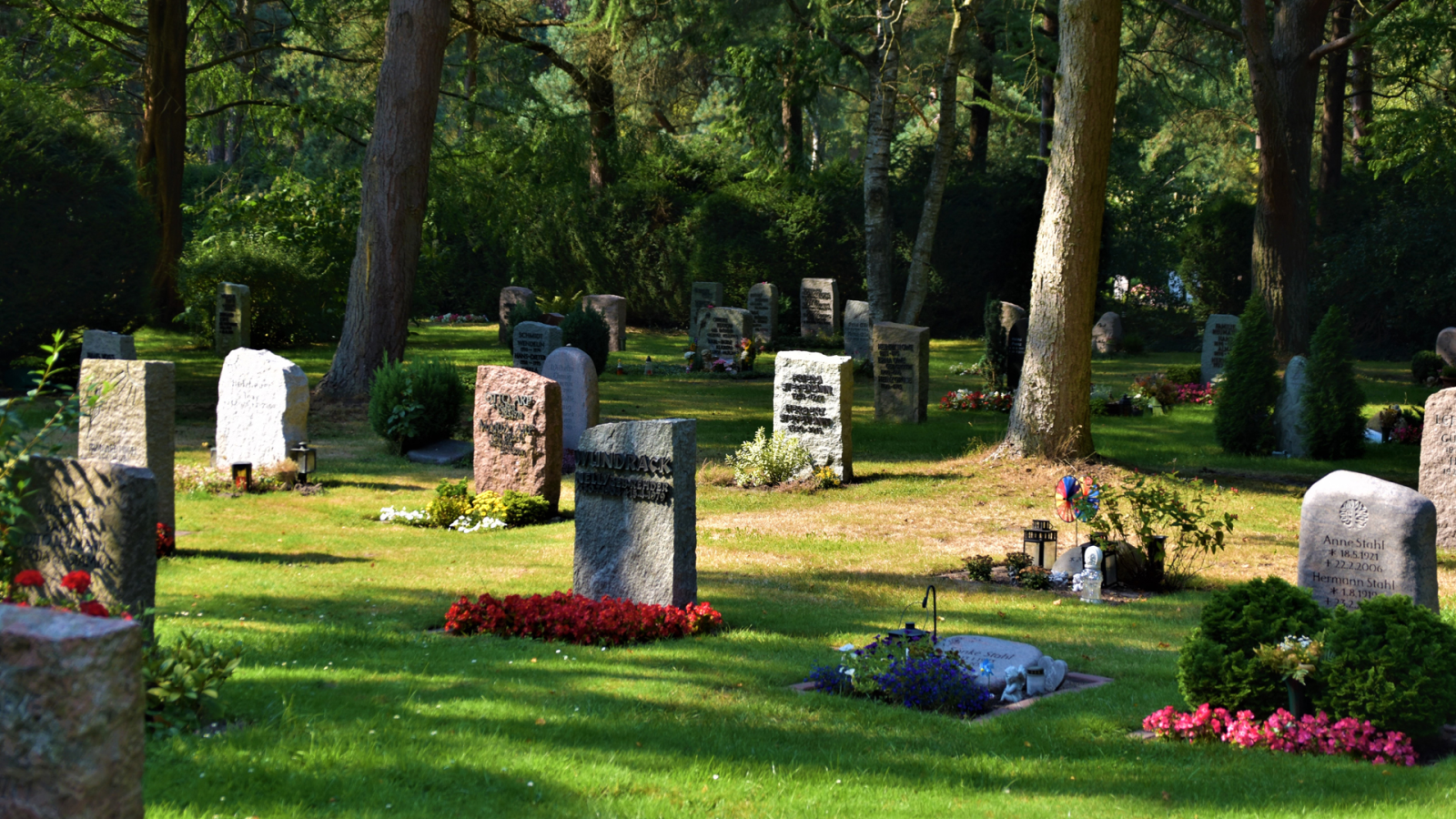 Reerdigung - Die klimafreundliche Bestattungsform | Interview