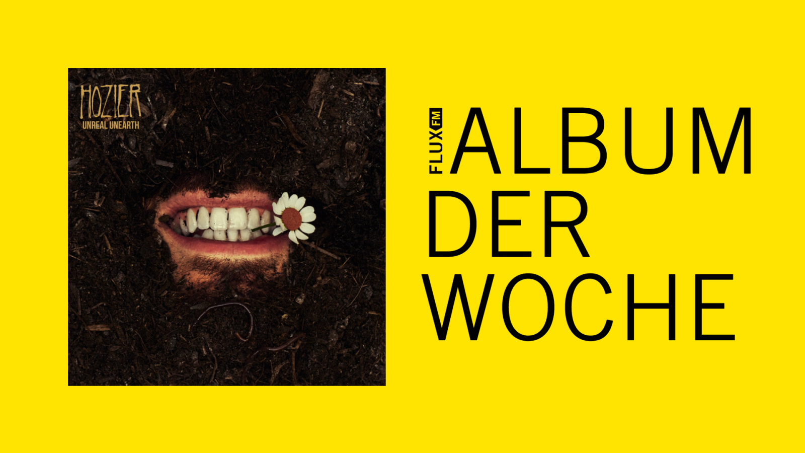 Hozier - "Unreal Unearth" | Album der Woche, © Julie Thiede