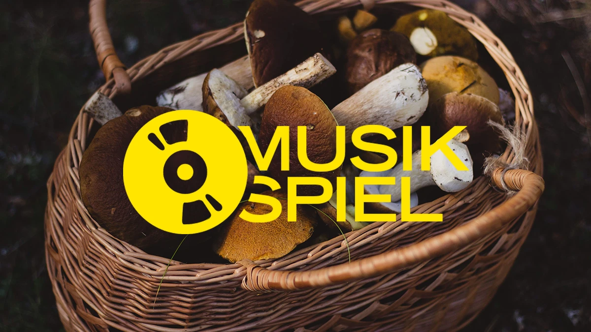 Ab in die Pilze! Schickt uns eure Songs zum Thema: Suchen/Finden | FluxFM Musikspiel Ab in die Pilze! Schickt uns eure Songs zum Thema: Suchen/Finden | FluxFM Musikspiel