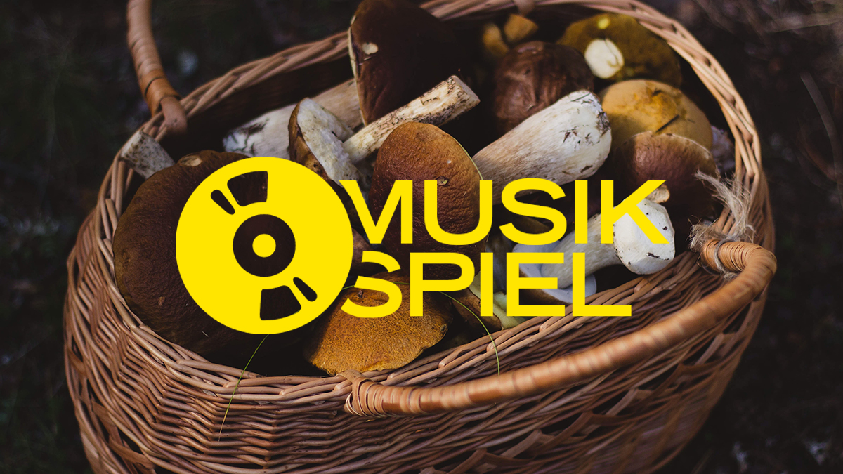 Ab in die Pilze! Schickt uns eure Songs zum Thema: Suchen/Finden | FluxFM Musikspiel
