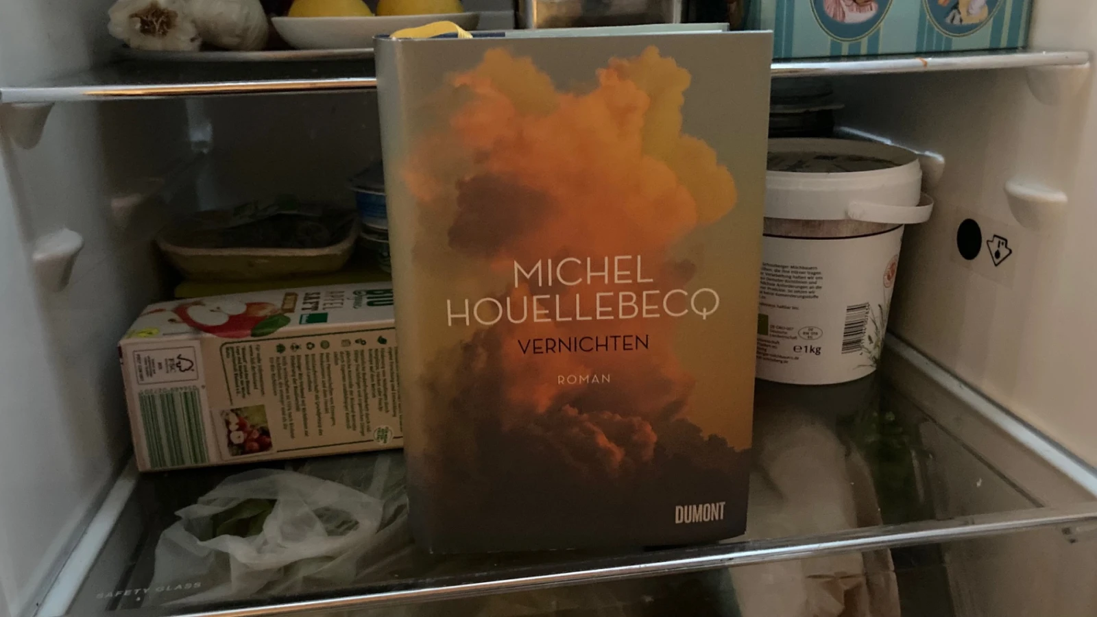 Michel Houellebecq - Vernichten | Lesen und lesen lassen Michel Houellebecq - Vernichten | Lesen und lesen lassen
