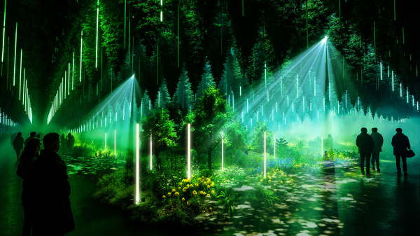 FOREST SEASONS | DARK MATTER, © DARK MATTER