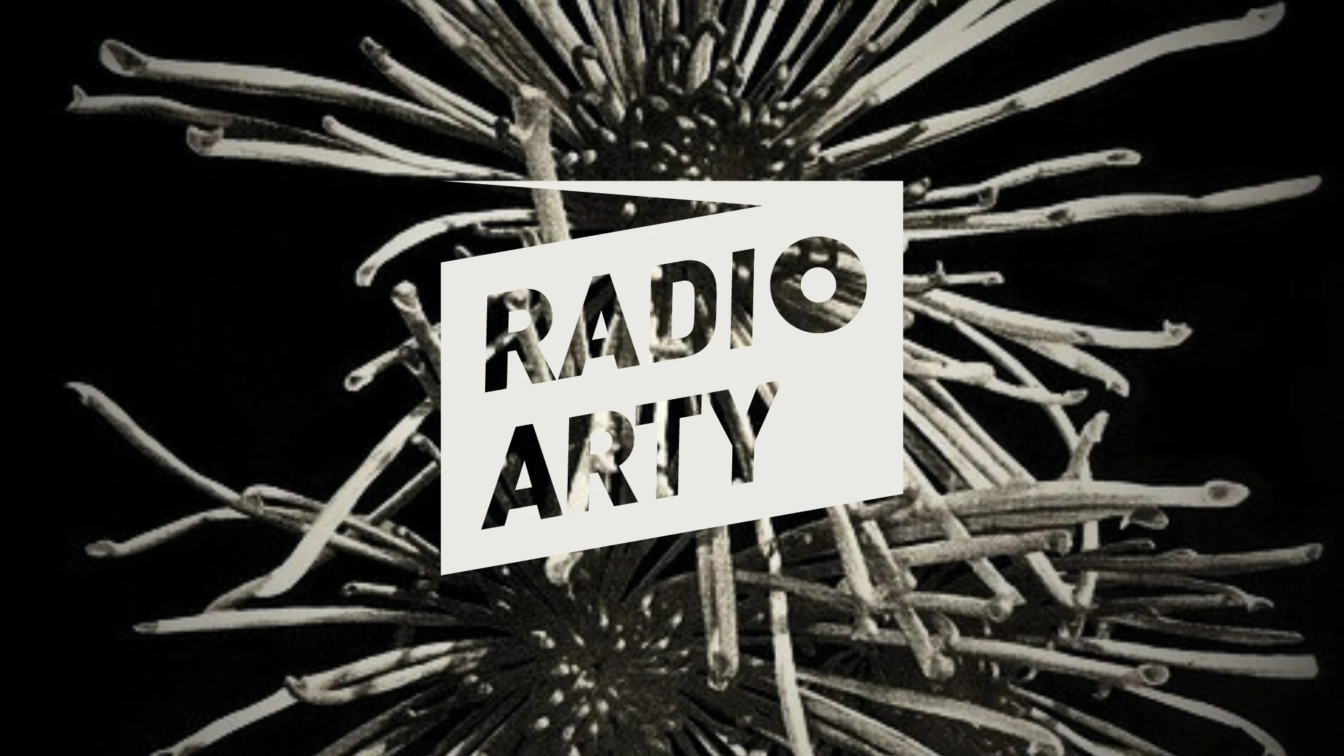 © Alexandra Baumgartner © Alexandra Baumgartner