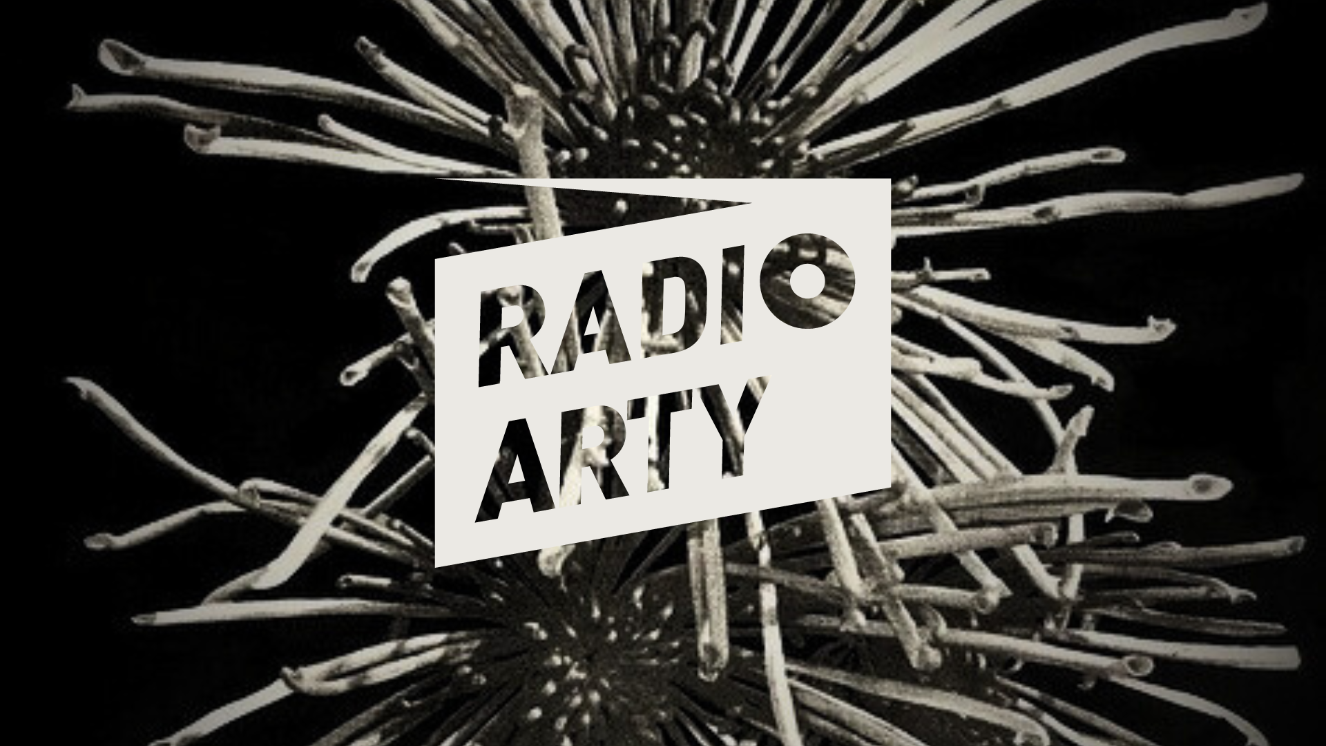 © Alexandra Baumgartner