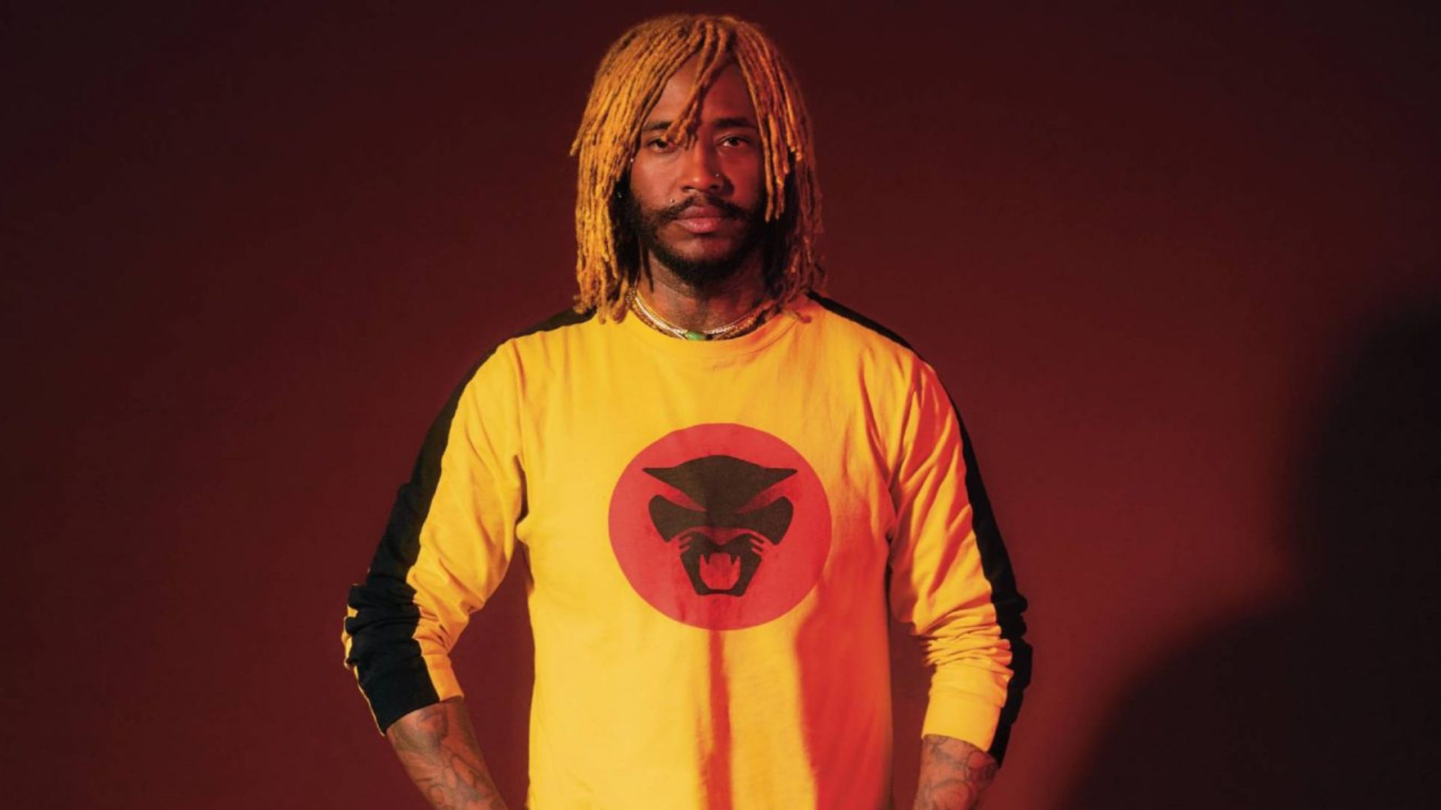 Thundercat Konzert (auf unbestimmt verschoben)